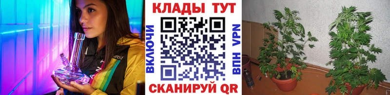 Наркошоп купить ГАШ  Кокаин  Мефедрон  Ижевск