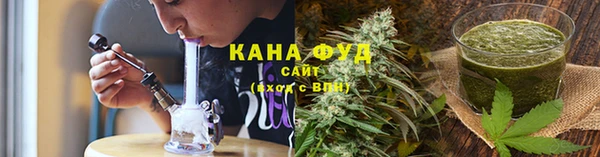 тгк Ельня