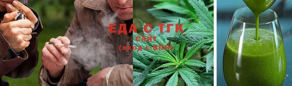 тгк Ельня