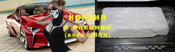 сатива Елизово