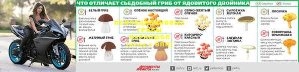 тгк Ельня