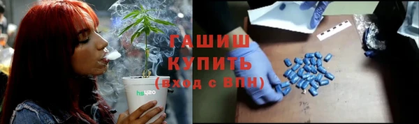 сатива Елизово