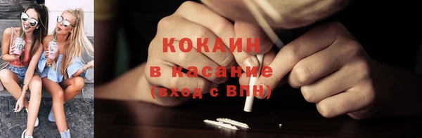 сатива Елизово