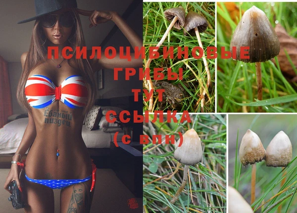 тгк Ельня